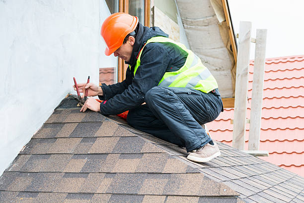 Best Roof Gutter Cleaning  in Pocomoke City, MD