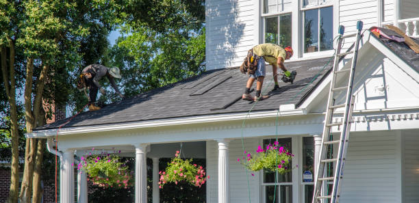 Best Emergency Roof Repair  in Pocomoke City, MD